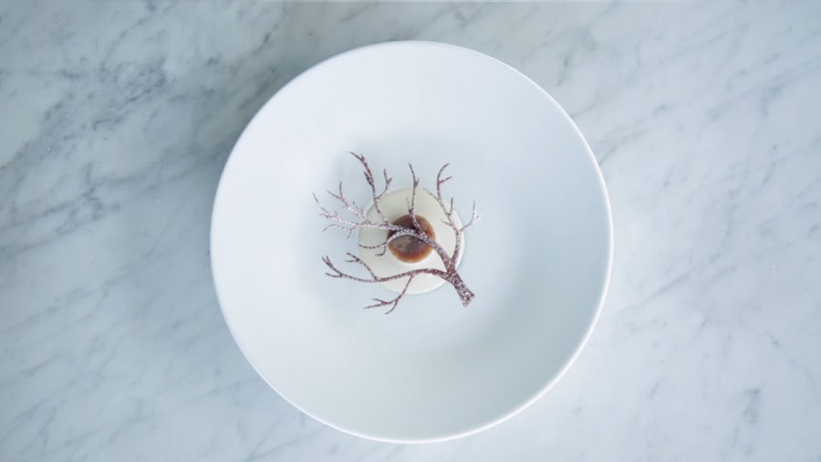 Árbol desnudo con cerveza negra, ciruelas y crema con madera de haya