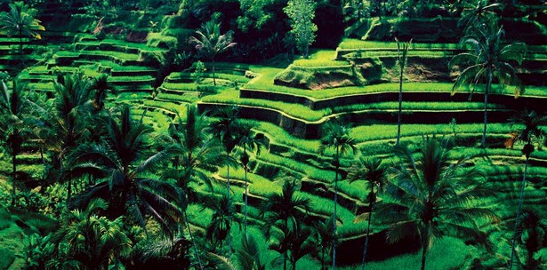 Tempat Wisata di Bali yang Populer Tempat Wisata di Bali yang Populer