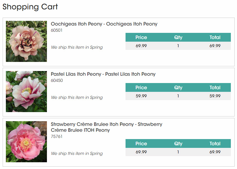 Southern Peony 2018 Strawberry Crème Brûlée Intersectional At Spring Hill Nursery Unregistered Intersectional Peony Offerings