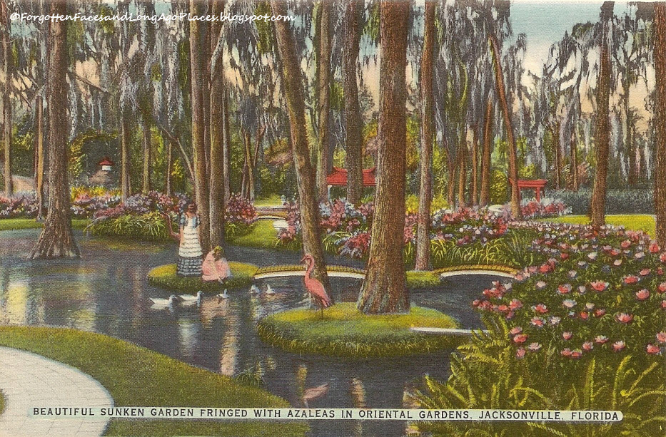 Faces and Long Ago Places Sepia Saturday 122 Cypress