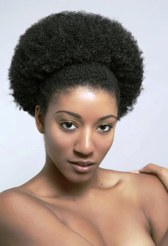 Stunning Afro Hair Styles For Ladies Scene in HD