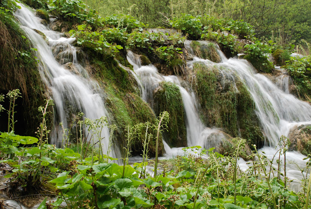 Plitvice Lakes National Park, Lower, 下湖, 克羅地亞, 十六湖