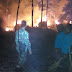 Lahan Gunung Ciremai Kebakaran, TNI Segera Bantu Padamkan