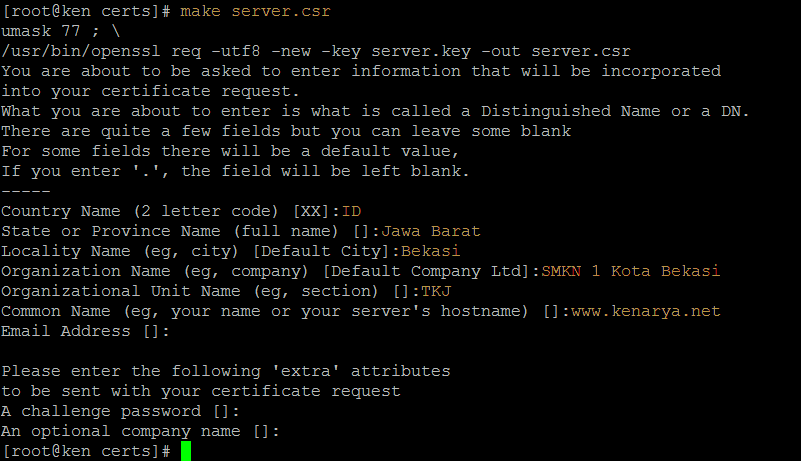 Openssl error. Как запустить openssl. интерфейс openssl. openssl_ia32cap что это. openssl.