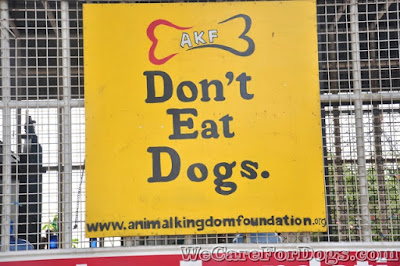 AKF's Campaign against dog eaters and traders - Don't Eat Dogs - Philippine Dog Festival 2014 - December 12, 2014 AKF's Campaign against dog eaters and traders - Don't Eat Dogs - Philippine Dog Festival 2014 - December 12, 2014
