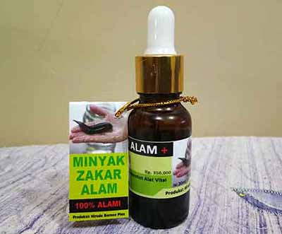 Minyak Lintah Asli Minyak Lintah Asli