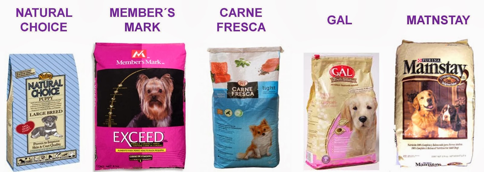 VETZOO clinica veterinaria Hay de croquetas a croquetas