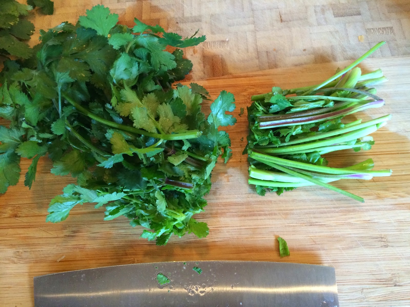 Squash Blossom Vegan Sofrito, Fresh Seasoning Anytime
