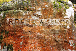 Cartouche de la Roche à Sylvie, Franchard, Fontainebleau, (C) 2014 Greg Clouzeau Cartouche de la Roche à Sylvie, Franchard, Fontainebleau, (C) 2014 Greg Clouzeau