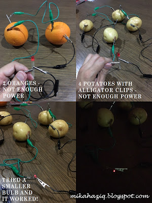 lightbulb potato experiment