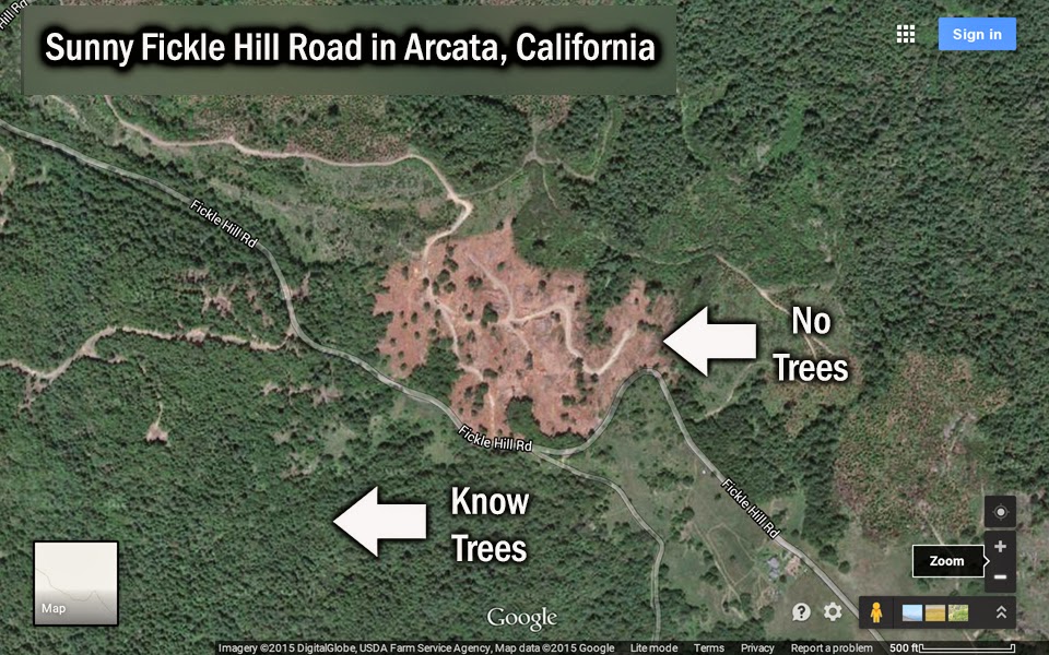 clearcut satellite imagery google