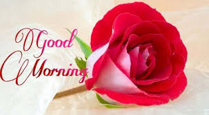 good morning good morning