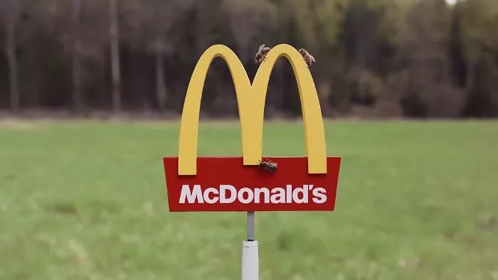 McDonald's Opened An Extremely Tiny Restaurant For Bees