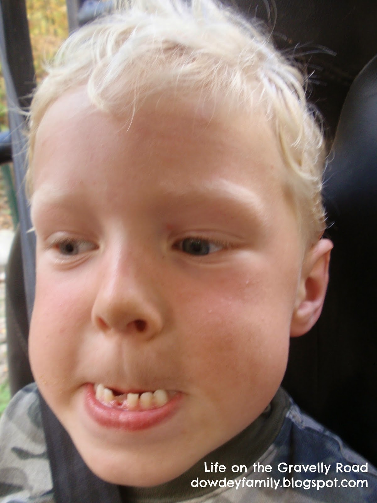 tooth fairy visit after atv trails