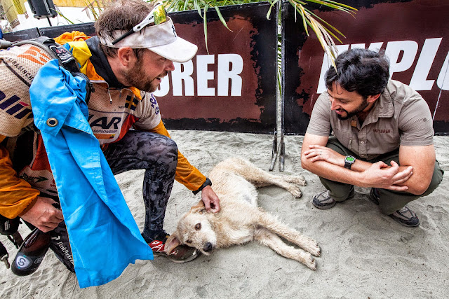 arthur el perro abandonado que participo en una competencia de aventura en ecuador hoy viaja suecia para iniciar una vida feliz%2B13