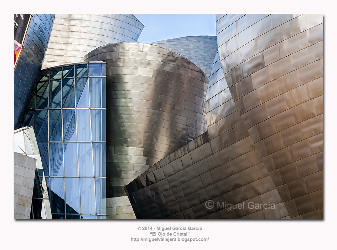 Museo Guggenheim de Bilbao (Bizkaia) - España