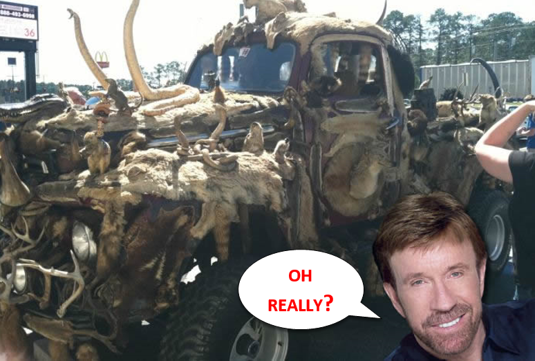Chuck Norris Truck? - The Moo Show