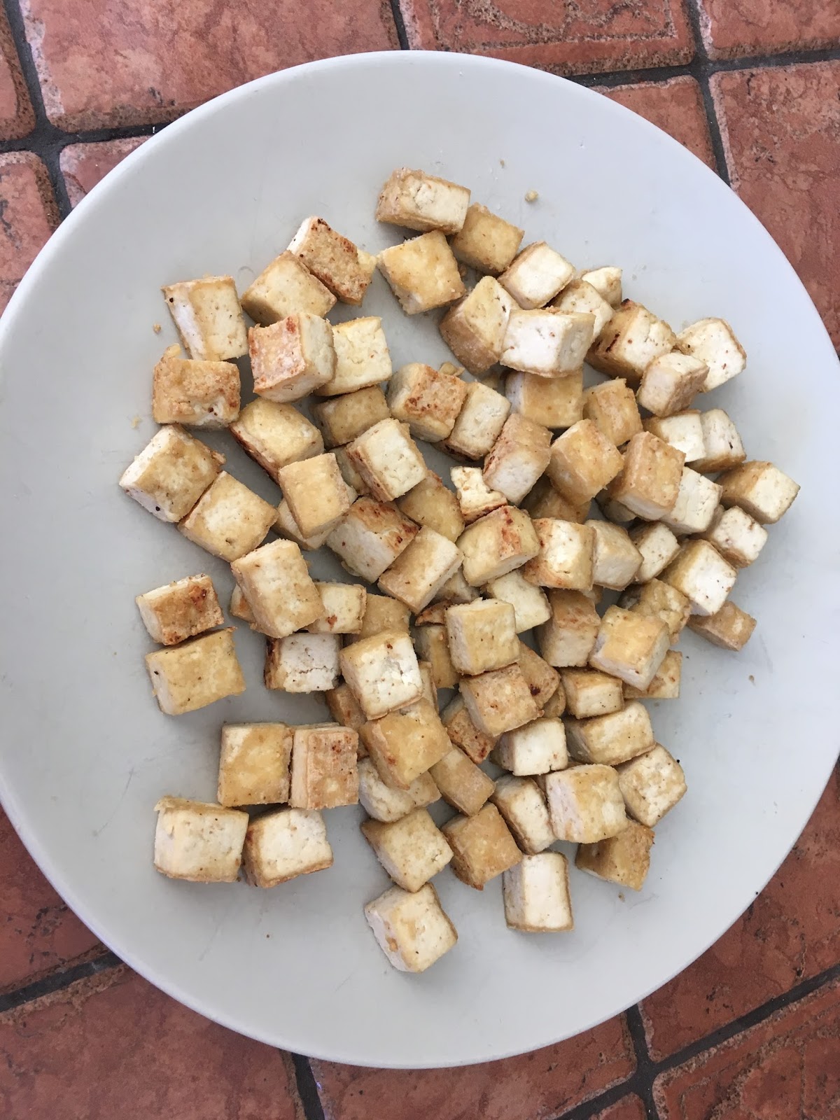 Aimee's Vegetarian Recipes Cast Iron Skillet Tofu