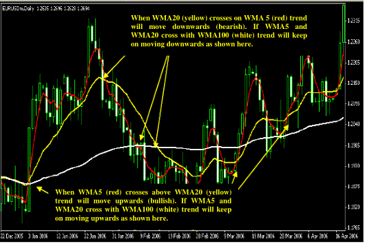 100 trading system