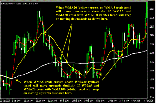 WMA 5, 10, 100 Trading System