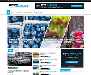 Envo Magazine - Theme WordPress Responsive Free