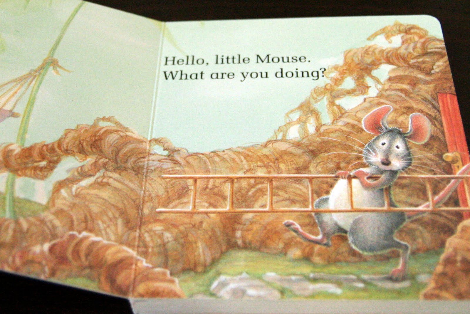 Memoir of a Missus books we love the little mouse, the red ripe