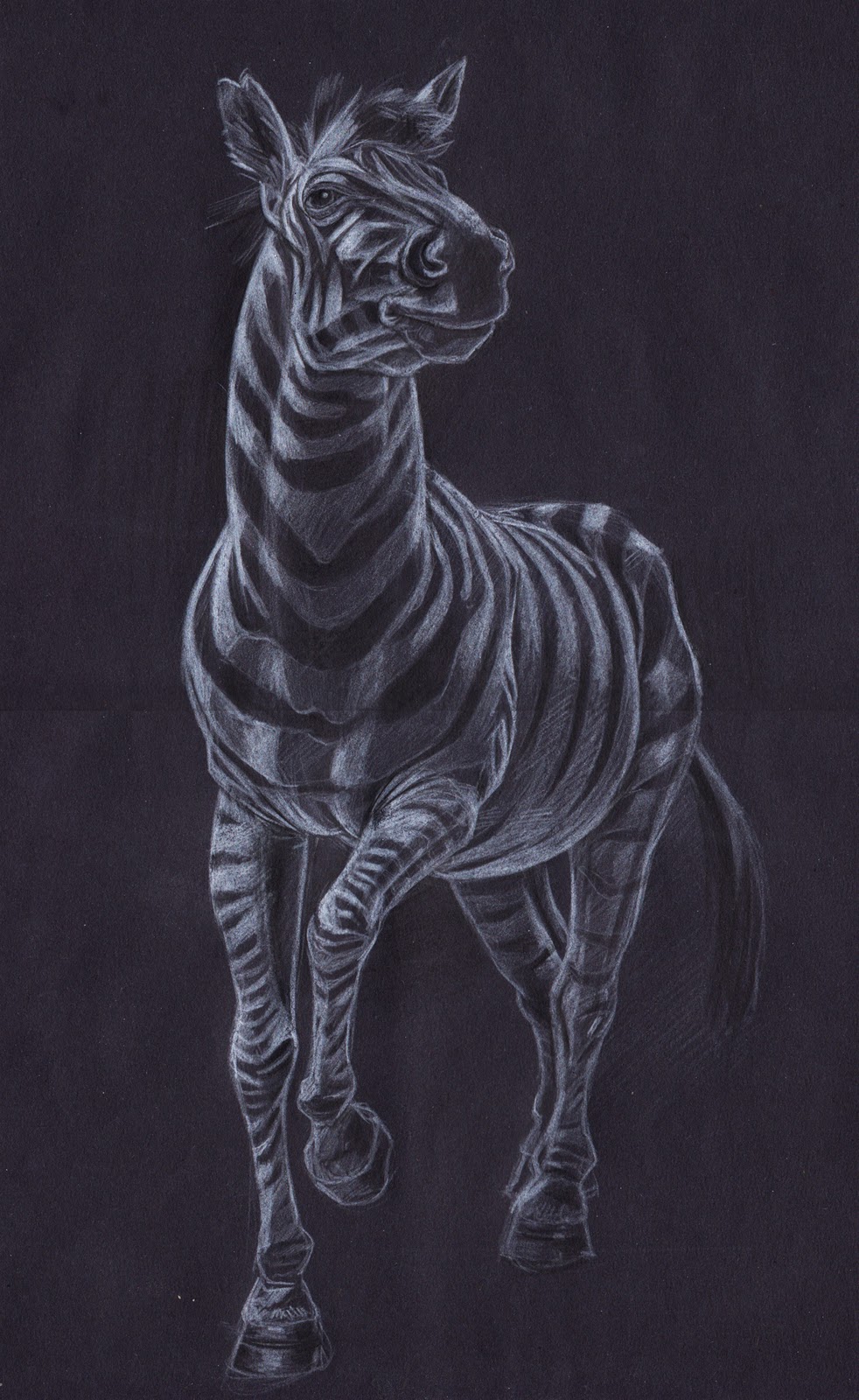 Naut Done Drawing: Zebra