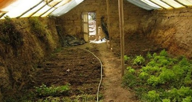Greenhouse For Less Than 300$ To Have Fresh Food All Year Round