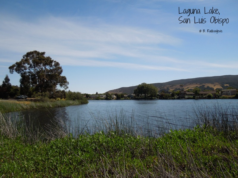 Paso Robles in Photos Staying Cool at Laguna Lake in San Luis Obispo