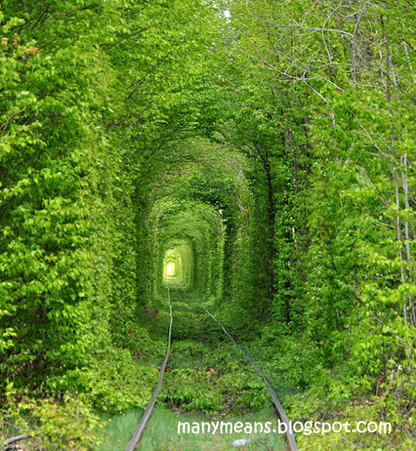 Many Means Tunnel Of Love