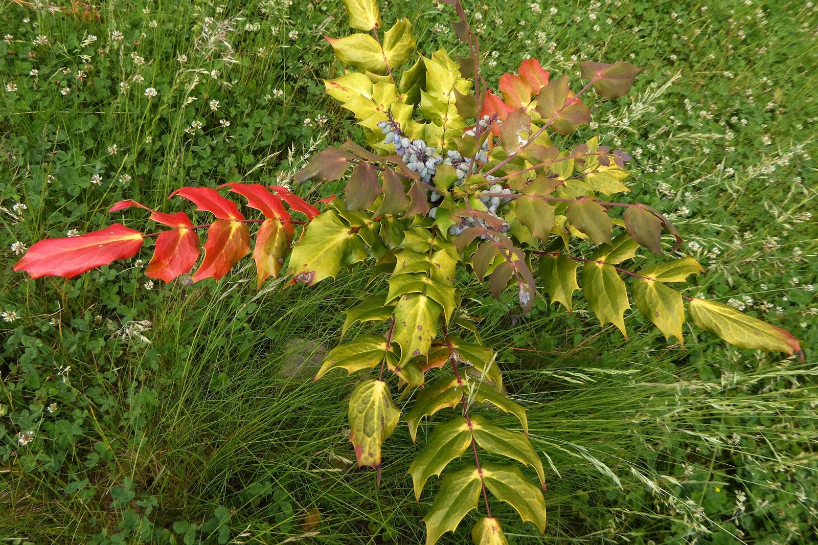 Morgen ist alles anders: In der Stille angekommen