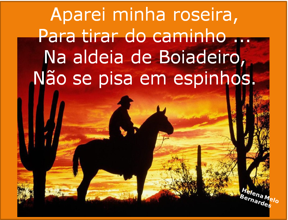 COISAS DA VIDA A LINHA DOS BOIADEIROS COISAS DA VIDA A LINHA DOS BOIADEIROS