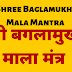 श्री बगलामुखी माला मंत्र | Shree Baglamukhi Mala Mantra |