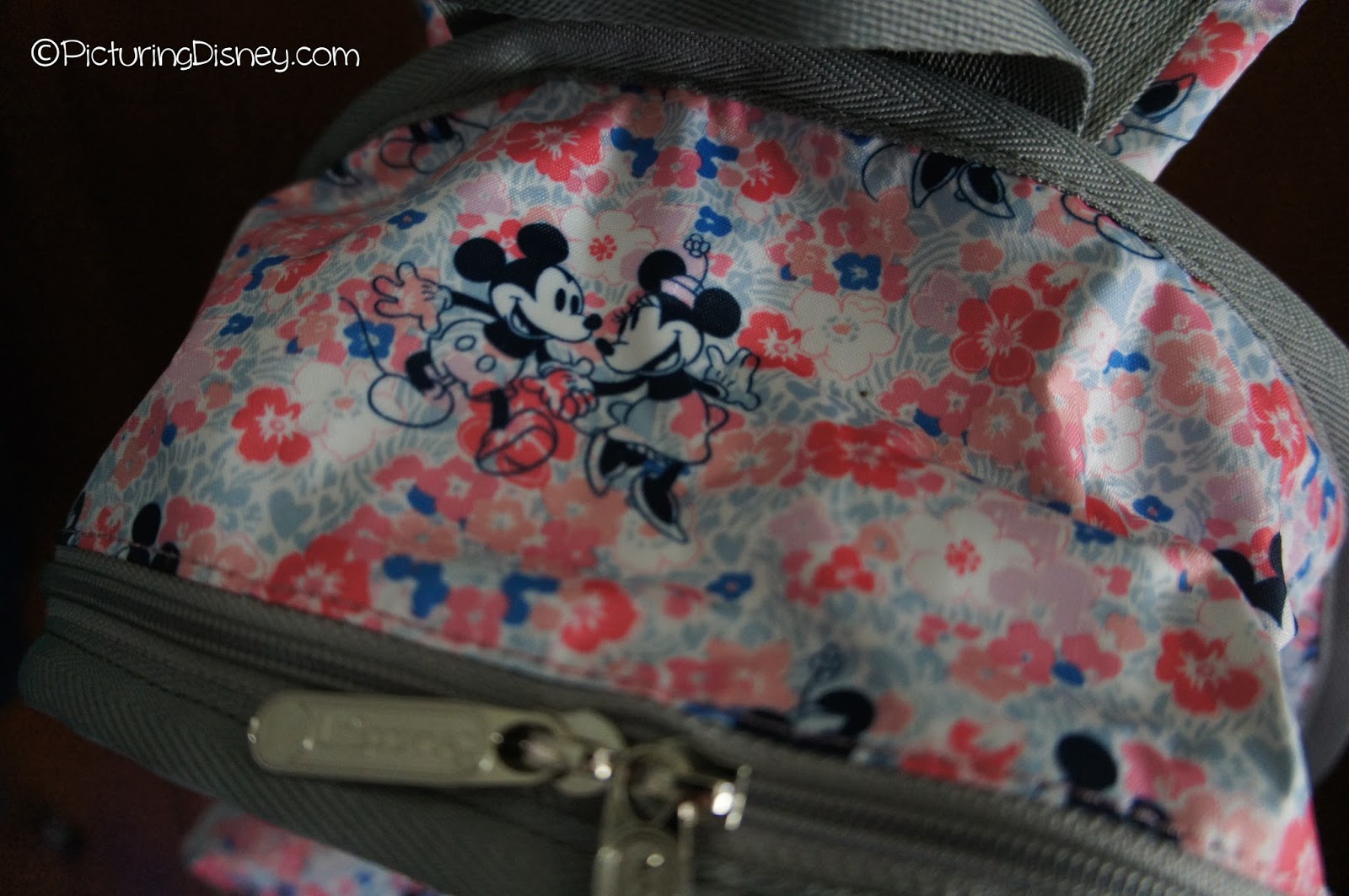 Picturing Disney Love Is In The Air With Our Lesportsac Spring Style Tour