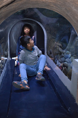 jakarta aquarium neo soho