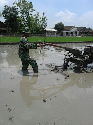BABINSA DESA PLOSOREJO BANTU PETANI BAJAK SAWAH