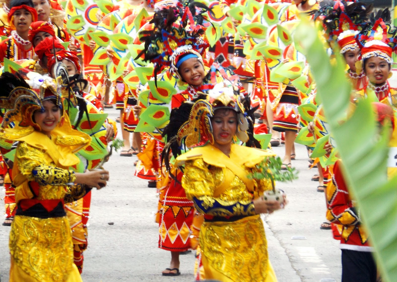 Bonsai Makisig San Isidro, Davao Oriental, Bonsai Festival 2014, Mt
