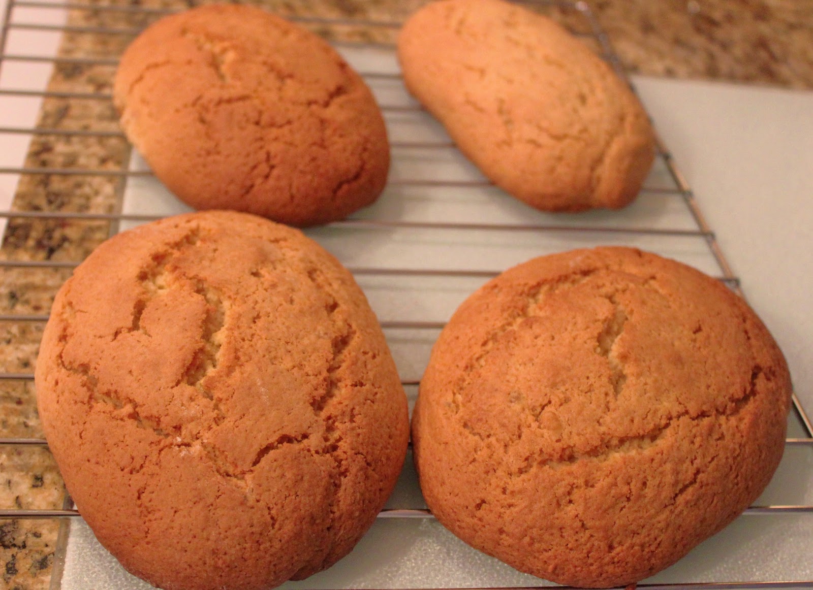 Grandma's Old Fashioned Italian Biscotti Recipe What's Cookin