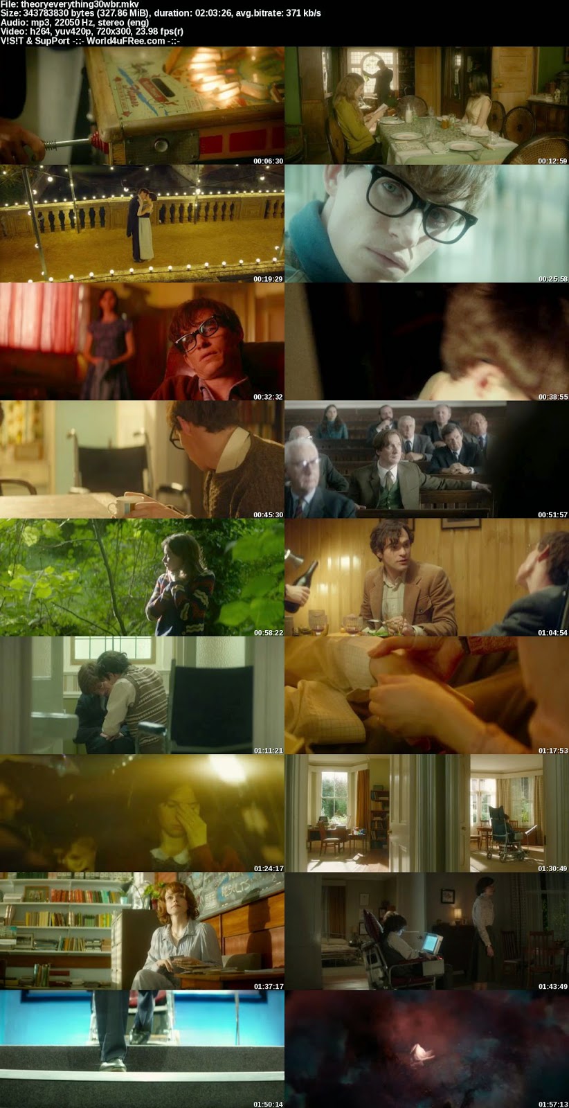 The Theory Of Everything Poster