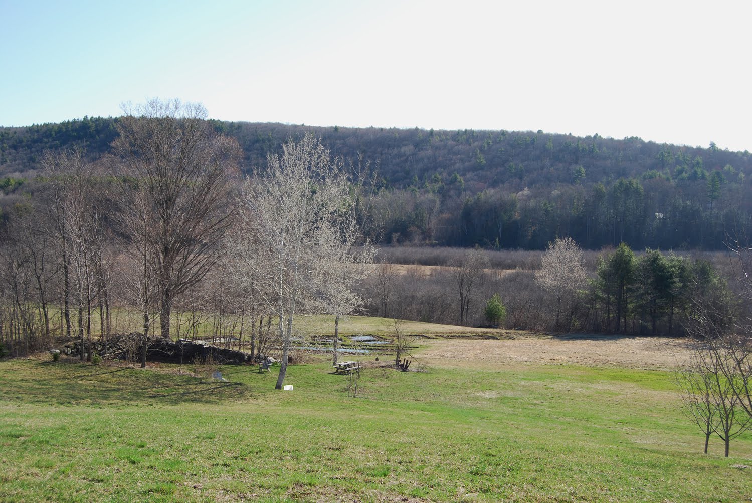 Contemporary Portrait Artists Sonia Hale Commissioned Portraits, Oil