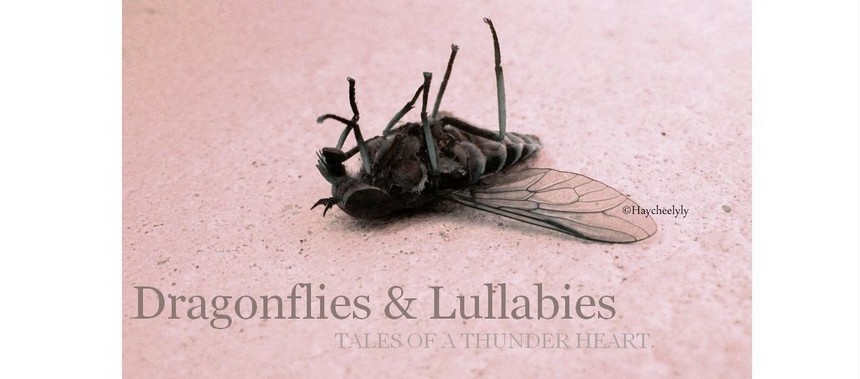 Dragonflies & Lullabies
