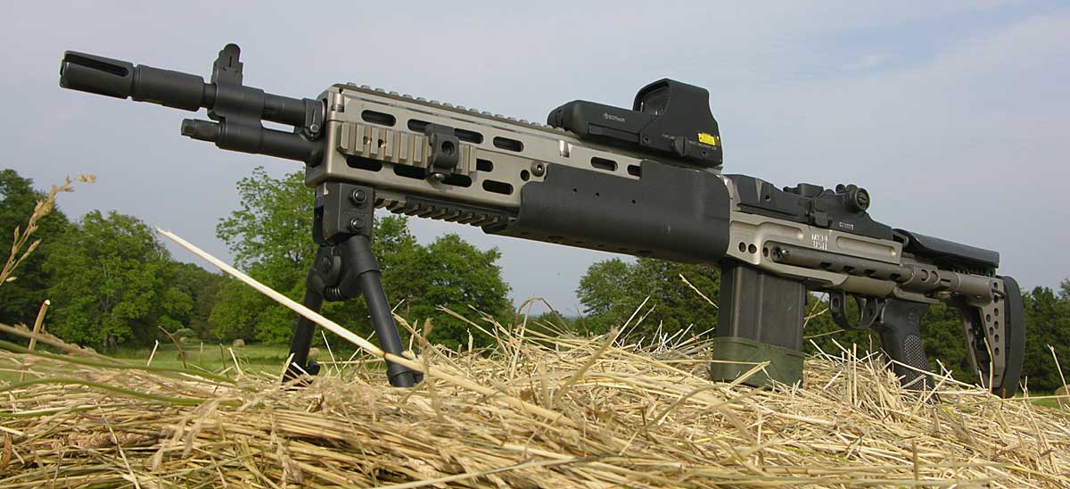 Enhanced battle. Mk14 EBR. Винтовка м14 EBR. МК 14 винтовка. EBR 14 винтовка.