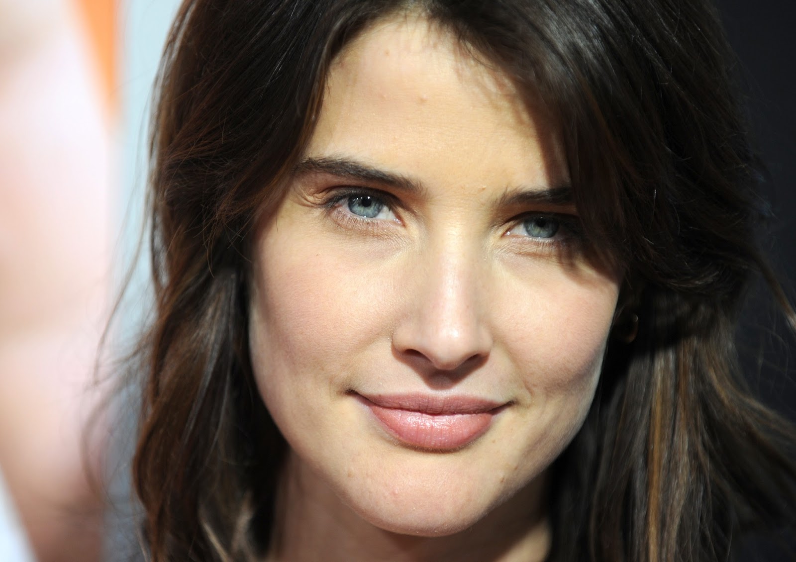 Cobie Smulders Photo Gallery2 Tv Series Posters and Cast