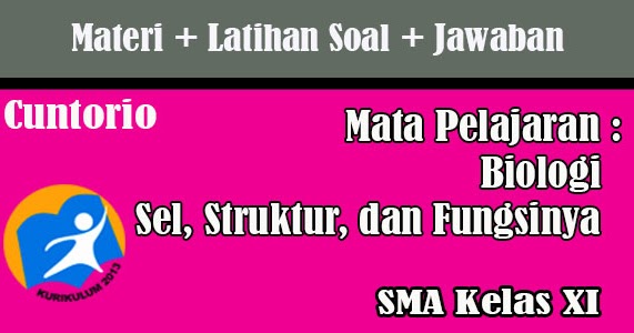 Soal pilihan ganda bab sel, struktur, dan fungsinya