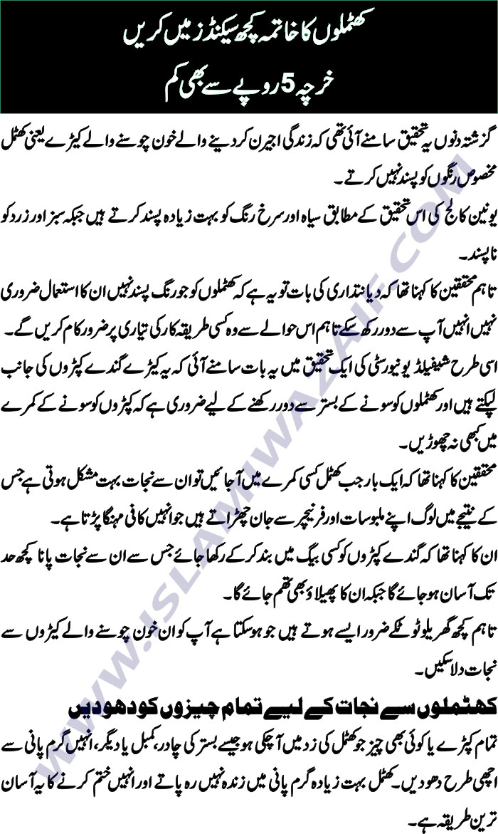how-to-get-rid-of-bed-bugs-permanently-islamiwazaif