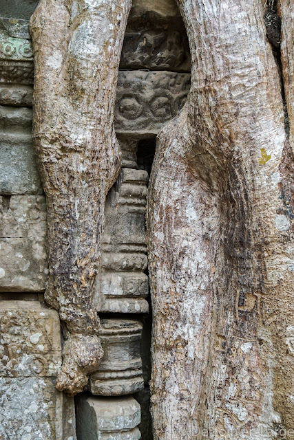 Ta Phrom - Angkor - Cambodge