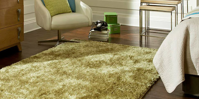 Light green area rug adds softness and color to this room