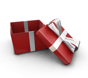 Two Men and a Little Farm: POLL: OPEN PRESENTS CHRISTMAS EVE OR