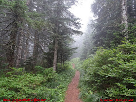 Larch Mountain Columbia Gorge trail