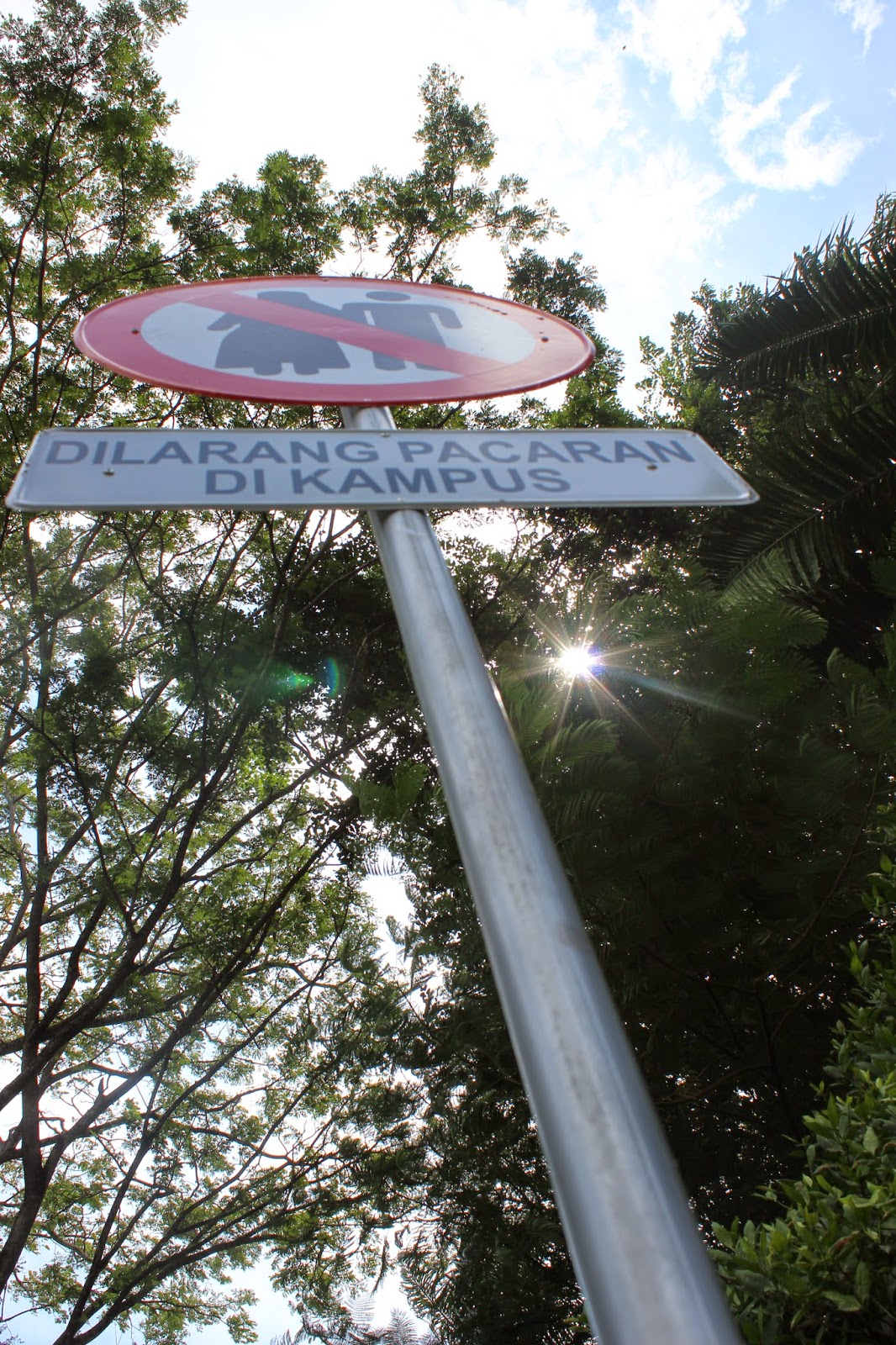 Fotografi: Teknik Sudut Pengambilan Gambar (Low Angle)